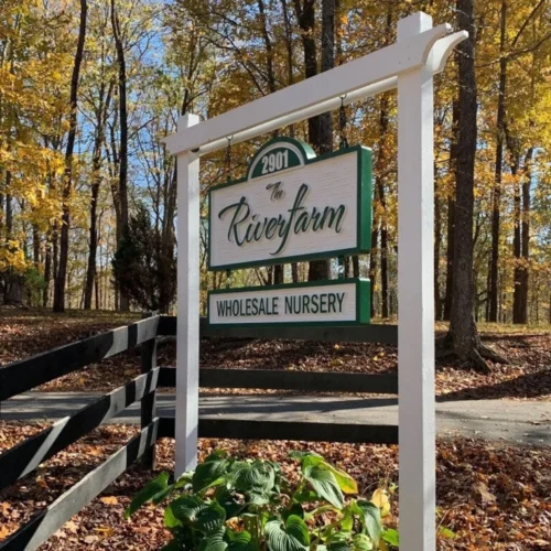 Outdoor signage mounted on a white wooden frame. The sign features a green and white color scheme with a cursive font for the nursery's name and block letters for the rest.